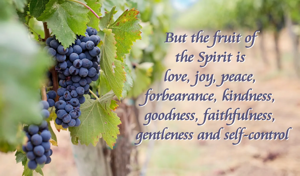 Fruits of the Spirit resize